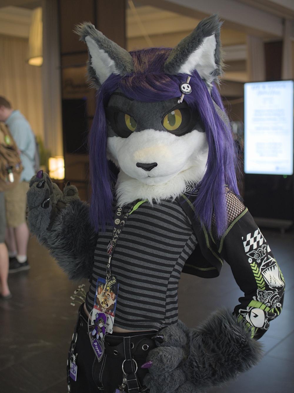 A partial suiter